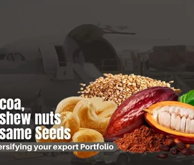 Why Adding Cocoa, Cashew Nuts, and Sesame Seeds Makes Sense in Diversifying Your Export Portfolio