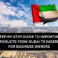 Ship From Dubai To Nigeria [For Business Owners In 2025