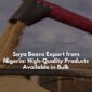 Soya Beans Export from Nigeria: High-Quality Products Available in Bulk