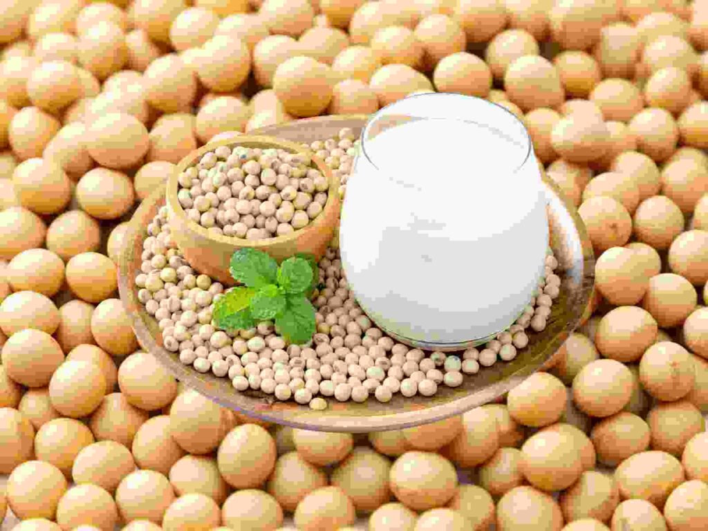 Soya Beans export from Nigeria