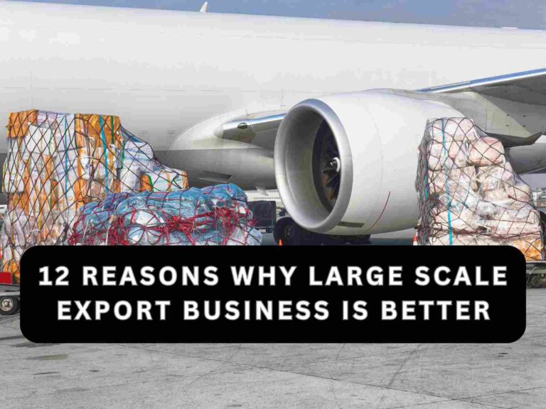 12 Strong Reasons Why Large Scale Export Business is better
