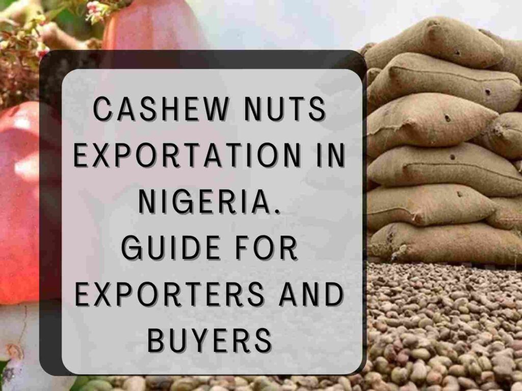 Exportation of Cashew Nuts in Nigeria